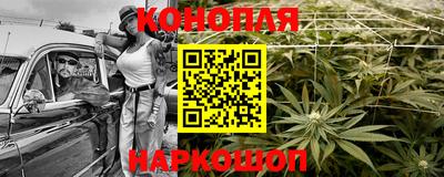 крисы Гагарин