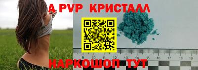 крисы Гагарин