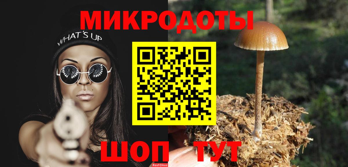 Псилоцибиновые грибы GOLDEN TEACHER Балахна