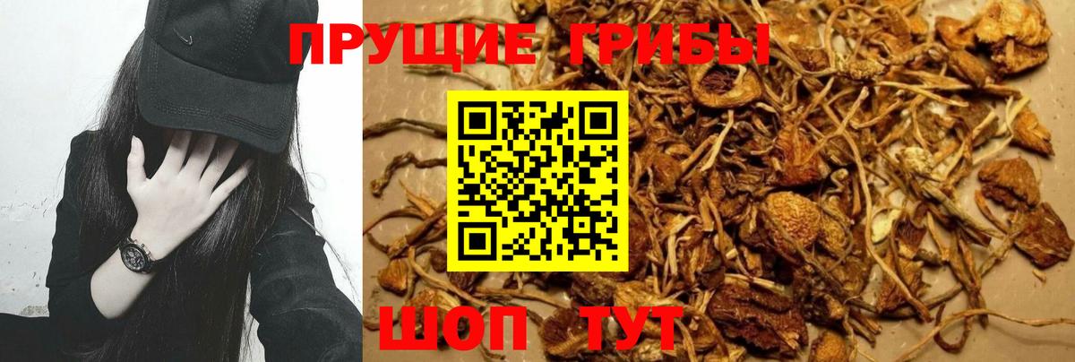 Псилоцибиновые грибы Magic Shrooms  Вход с VPN  Балахна 